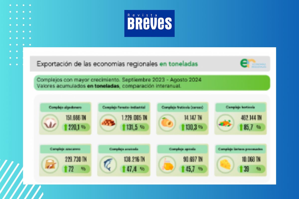 El auge de las economías regionales: un aumento clave en exportaciones - imagen 5